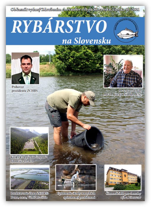 Obrázok12